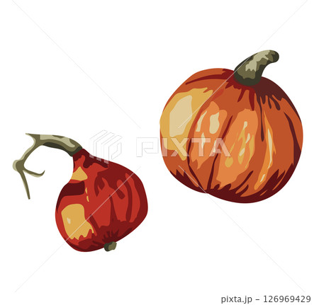 Ripe orange pumpkin. Vector illustration isolated on white background. 126969429