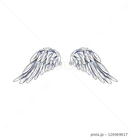 Angel wings sketch, spread white wings, vector hand drawn pair of heraldic wings bird winged feathers down side 126969617