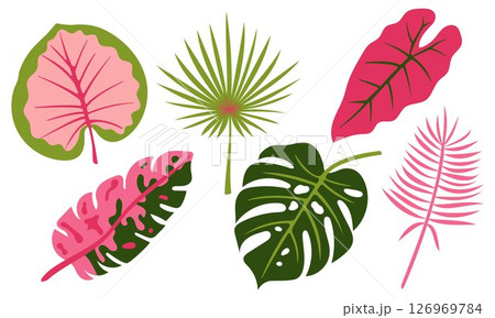 Tropical Botanical Leaves Set. Exotic Plant Foliage Collection, Colorful Jungle Flora, Decorative Greenery Elements, Summer Leaf Shapes, Flat Vector Nature Illustration Tropical Botanical Leaves Set. Exotic Plant Foliage Collection, Colorful Jungle Flora, Decorative Greenery Elements, Summer Leaf Shapes, Flat Vector Nature Illustration 126969784
