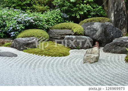 霊源院庭園　鶴鳴九皐　達磨さんと甘茶(京都市東山区) 126969973