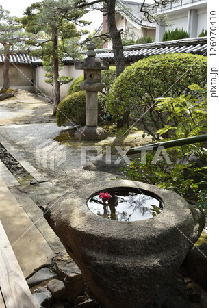 東寺塔頭 観智院 庭園(京都市南区) 東寺塔頭 観智院 庭園(京都市南区) 126970410