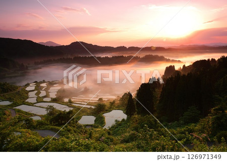 峠の棚田2025 126971349