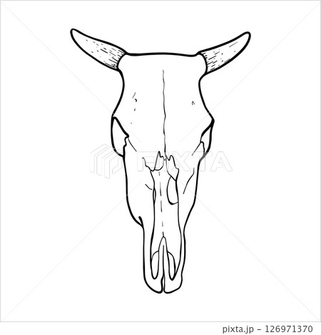 Cow Skull Illustration. Hand drawn black and white vector illustration of a bull skull with horns in line art style. Suitable for farming, agriculture and art projects. Graphic engraving design EPS10 Cow Skull Illustration. Hand drawn black and white vector illustration of a bull skull with horns in line art style. Suitable for farming, agriculture and art projects. Graphic engraving design EPS10 126971370