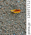 Yellow Leaf on Gravel Texture with Earthy Autumn Tones and Minimalist Natural Background Ideal for Seasonal Use Yellow Leaf on Gravel Texture with Earthy Autumn Tones and Minimalist Natural Background Ideal for Seasonal Use 126971712