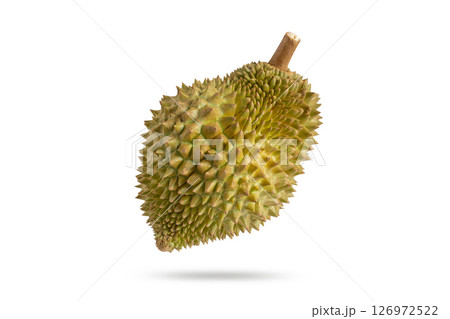 Fresh durian on white background. Durian fruit isolated on white with clipping path. 126972522