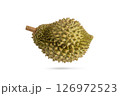 Fresh durian on white background. Durian fruit isolated on white with clipping path. 126972523