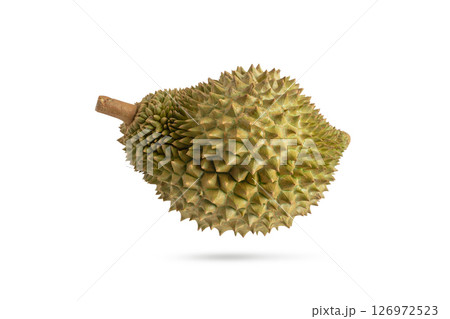 Fresh durian on white background. Durian fruit isolated on white with clipping path. 126972523