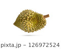 Fresh durian on white background. Durian fruit isolated on white with clipping path. 126972524