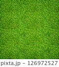Green grass texture for background. Green lawn pattern and texture background. Close-up. 126972527