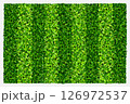 Green grass field background for sports and recreation. Realistic green lawn pattern and texture for background. Vector illustration. 126972537