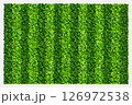 Green grass field background for sports and recreation. Realistic green lawn pattern and texture for background. Vector illustration. 126972538