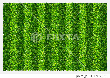 Green grass field background for sports and recreation. Realistic green lawn pattern and texture for background. Vector illustration. 126972538