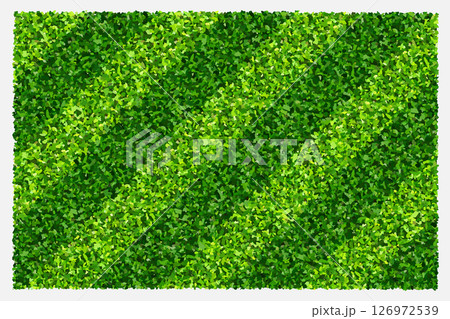 Green grass field background for sports and recreation. Realistic green lawn pattern and texture for background. Vector illustration. 126972539