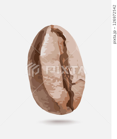 Realistic coffee bean seed. Big coffee bean grain on a white background. Vector illustration. 126972542