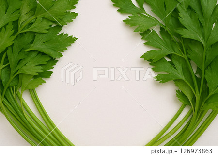 Fresh parsley pile with water drops top view 126973863