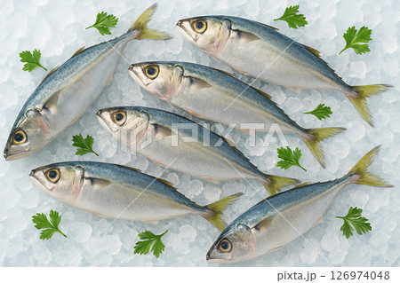 AI generated clean whole raw mackerels on crushed ice in top view with bright daylight and fresh herbs showing freshness chill and culinary quality with a vibrant and appetizing natural mood 126974048