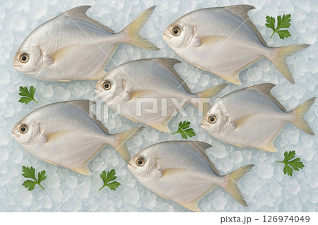 AI generated clean whole raw pomfret fish on crushed ice top view with bright daylight capturing freshness clarity coolness and culinary quality enhanced with scattered green herbs for appeal 126974049
