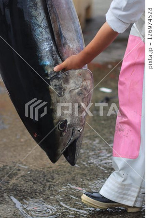 養殖クロマグロの水揚げ 126974528