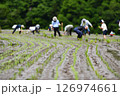 田植をする棚田オーナーの人々 田植をする棚田オーナーの人々 126974661