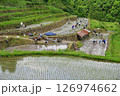田植をする棚田オーナーの人々 田植をする棚田オーナーの人々 126974662