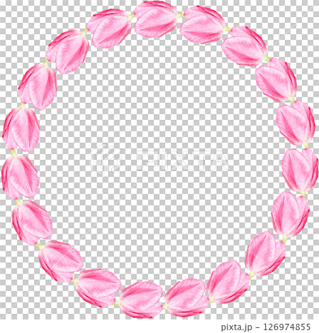 Tulip watercolor illustration isolated on white. Hand painted delicate pink flower, eco design. High quality clip art perfect for mother's day, women's day cards, posters, banners, decor and design 126974855