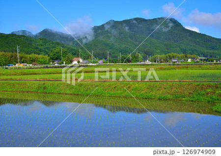 早朝の里山の麓　鏡写り　新緑の田園風景　栃木市大久保町付近 126974909