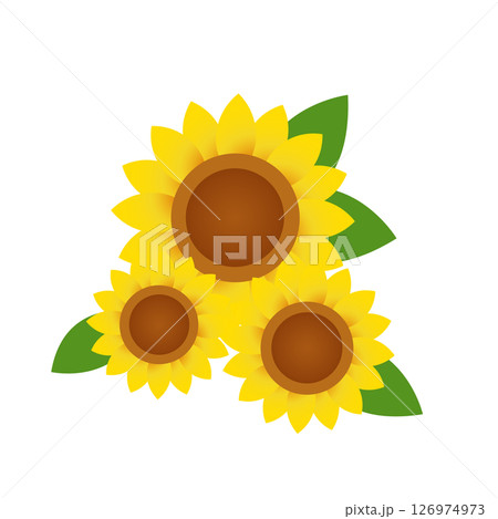 向日葵の花 126974973