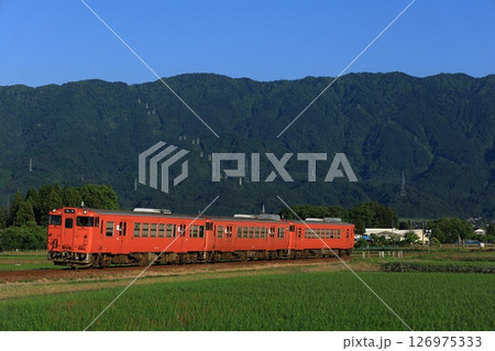初夏の城端線を行くキハ40・47系 初夏の城端線を行くキハ40・47系 126975333