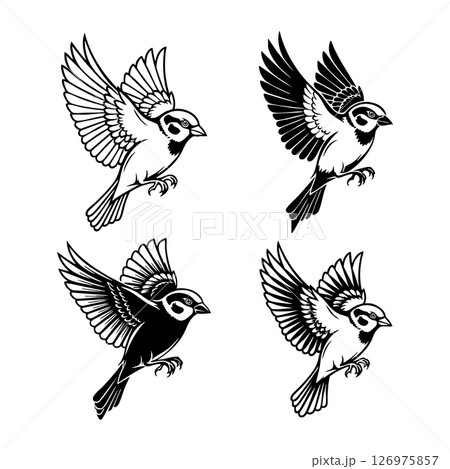 Set of four flying sparrows in black and white vector style. Beautiful detailed illustrations perfect for prints, logos, stickers, and tattoo designs. Birds are flying. 126975857
