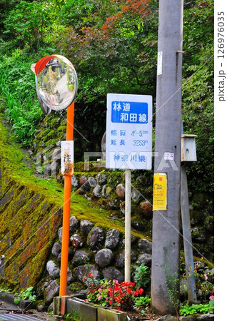 陣馬街道は神奈川県側では神奈川県営林道和田線。その林道和田線の看板 126976035