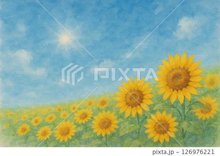 ひまわり畑 青空 ひまわり畑 青空 126976221