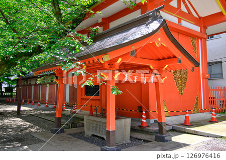 東京都新宿区　花園神社（はなぞのじんじゃ）　手水舎 126976416