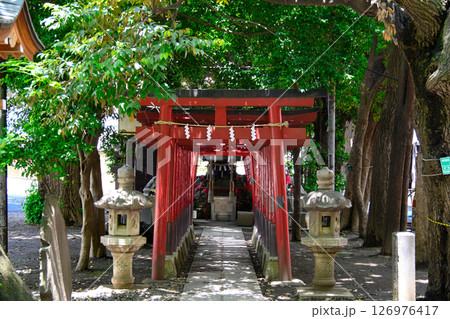 東京都新宿区　花園神社（はなぞのじんじゃ）　威徳稲荷神社 126976417