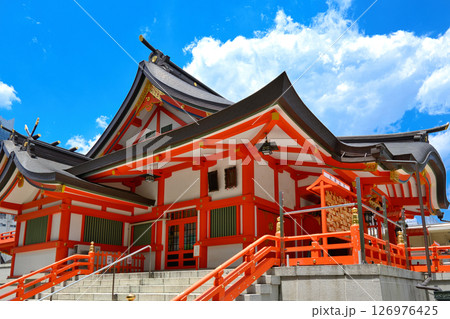 東京都新宿区 花園神社(はなぞのじんじゃ) 本殿 東京都新宿区 花園神社(はなぞのじんじゃ) 本殿 126976425