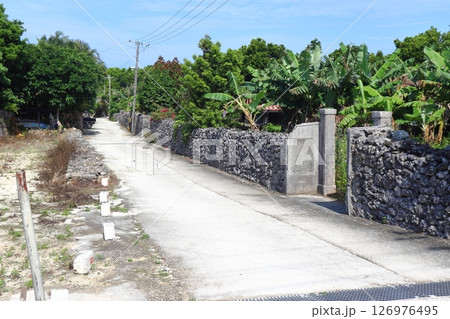 竹富島の住宅と白い路地 126976495