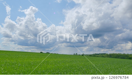 A Beautiful Lush Green Field Set Beneath a Dramatic and Cloudy Sky in Natures Splendor A Beautiful Lush Green Field Set Beneath a Dramatic and Cloudy Sky in Natures Splendor 126976784