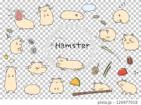 ゴールデンハムスターのイラストセットベクター線イラスト 126977018