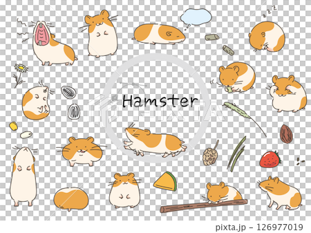 ゴールデンハムスターのイラストセットベクター線イラスト 126977019