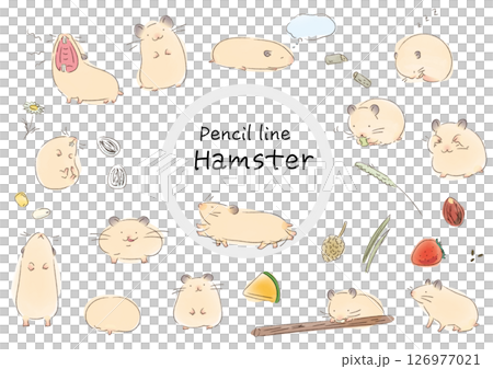 Syrian hamster pencil watercolor style illustration set 126977021