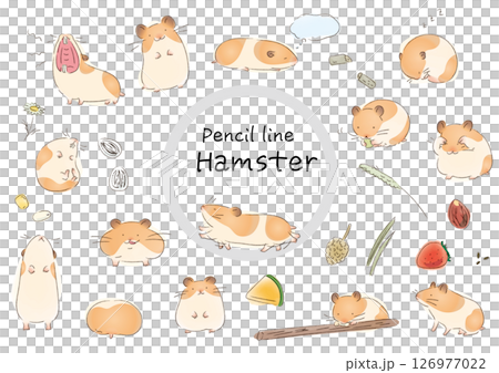 Golden hamster pencil watercolor style illustration set 126977022