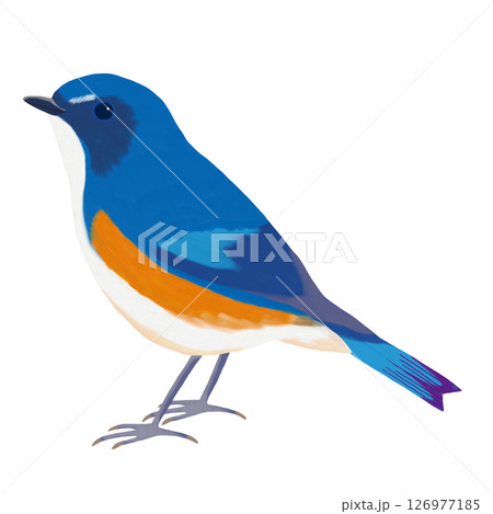 油彩ブラシで描いた雄のルリビタキのイラスト 幸せの青い鳥 クリップアート 挿絵 png 背景透過 油彩ブラシで描いた雄のルリビタキのイラスト 幸せの青い鳥 クリップアート 挿絵 png 背景透過 126977185