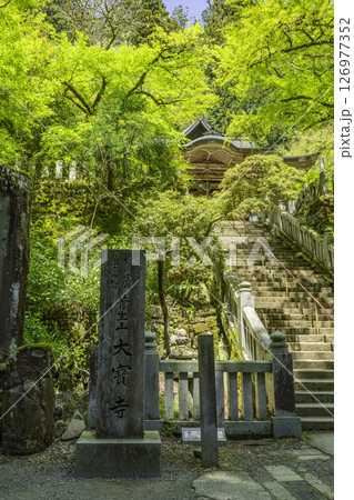 四国八十八箇所44番　大寶寺　石段　愛媛県久万高原町 126977352