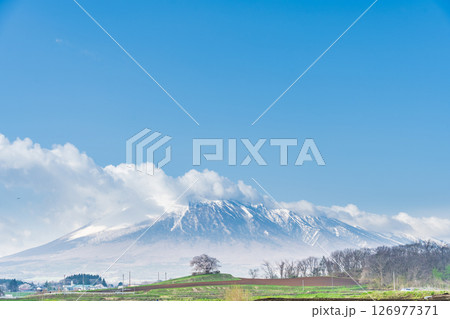 [岩手県]岩手山と為内の一本桜の風景　八幡平市 126977371