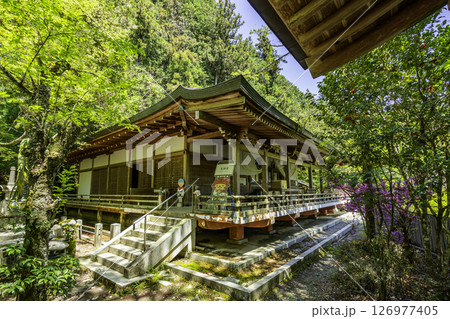 四国八十八箇所44番　大寶寺　大師堂　愛媛県久万高原町 126977405