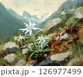 アルプス山脈に咲くエーデルワイス　セイヨウウスユキソウ　 126977499