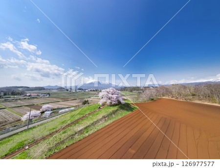 空撮「岩手県」岩手山と為内の一本桜　八幡平市 126977577