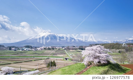 空撮「岩手県」岩手山と為内の一本桜　八幡平市 126977578