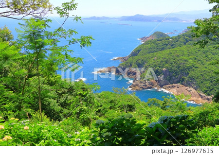 あじさい園と太平洋(桃源郷岬・宮崎県門川町) あじさい園と太平洋(桃源郷岬・宮崎県門川町) 126977615