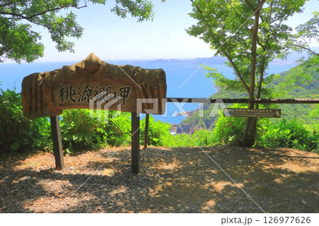 あじさい園と太平洋（桃源郷岬・宮崎県門川町） 126977626