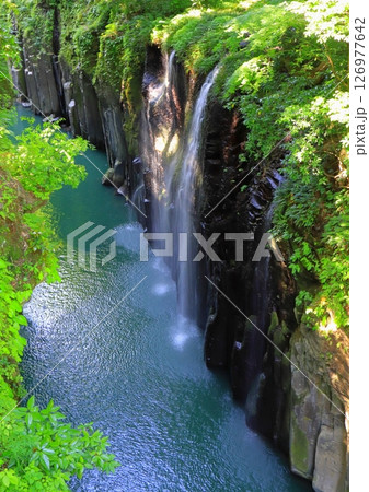 新緑の真名井の滝（宮崎県高千穂町・縦構図） 126977642